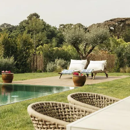 فيلة Moon Forest Retreat *