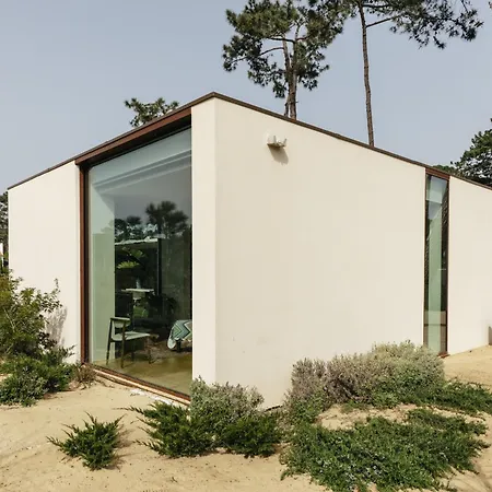 Moon Forest Retreat *