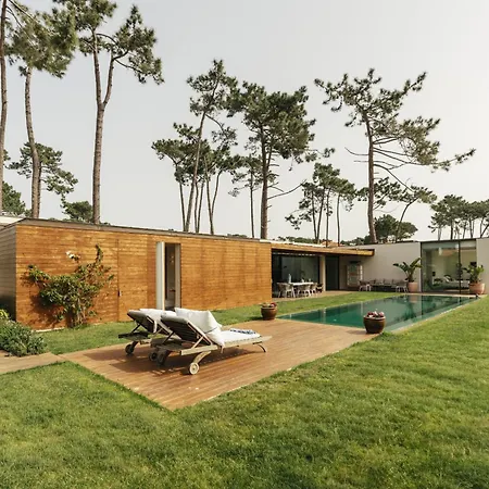 Moon Forest Retreat *