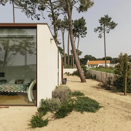 Moon Forest Retreat Villa *